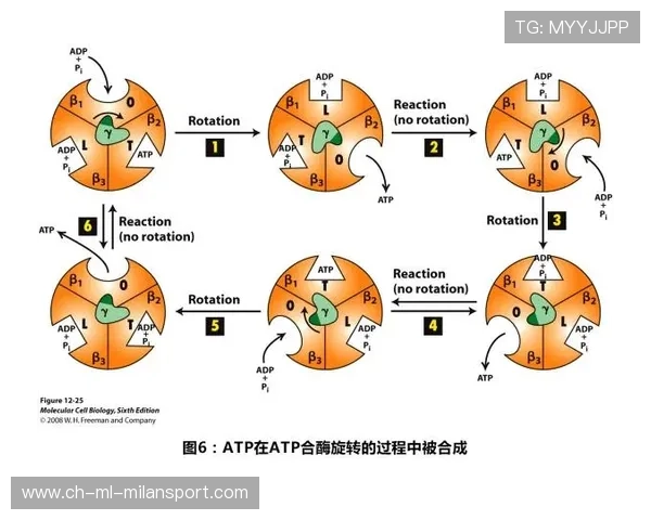 ATP世界格局迎来新变化 ATP世界格局迎来新变化