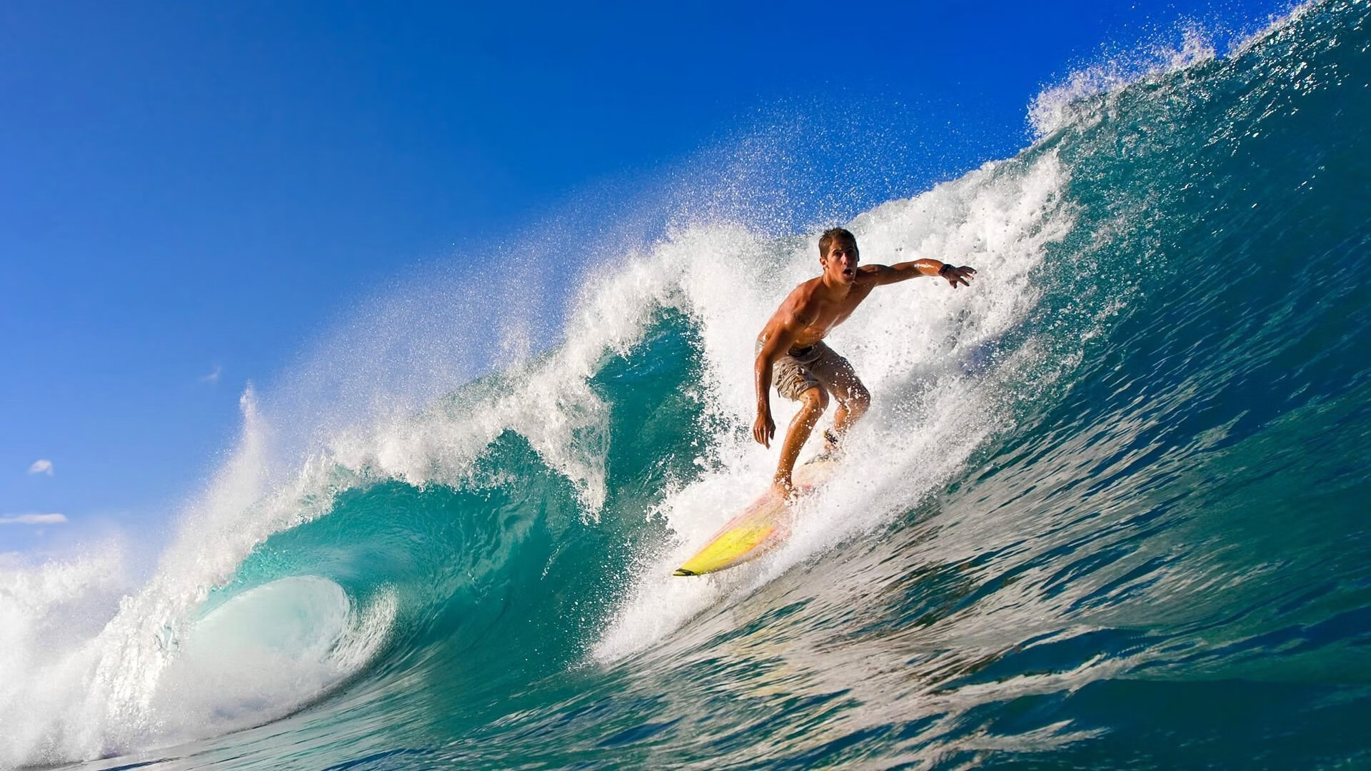 场馆运维智能平台正式投入使用，场馆运维是什么